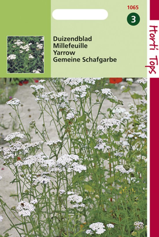 Duizendblad (Achillea millefolium) 2500 zaden